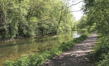 The River Bradford (courtesy of Christine Gregory).